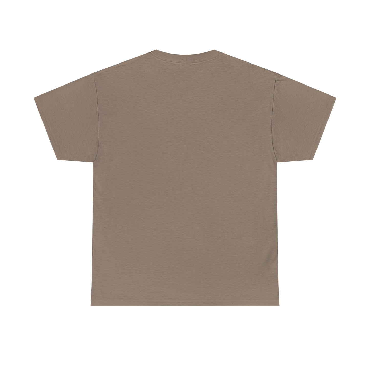 Aquarius Water Bearer tee | Zodiac astrology shirt, The Aquarius tarot design