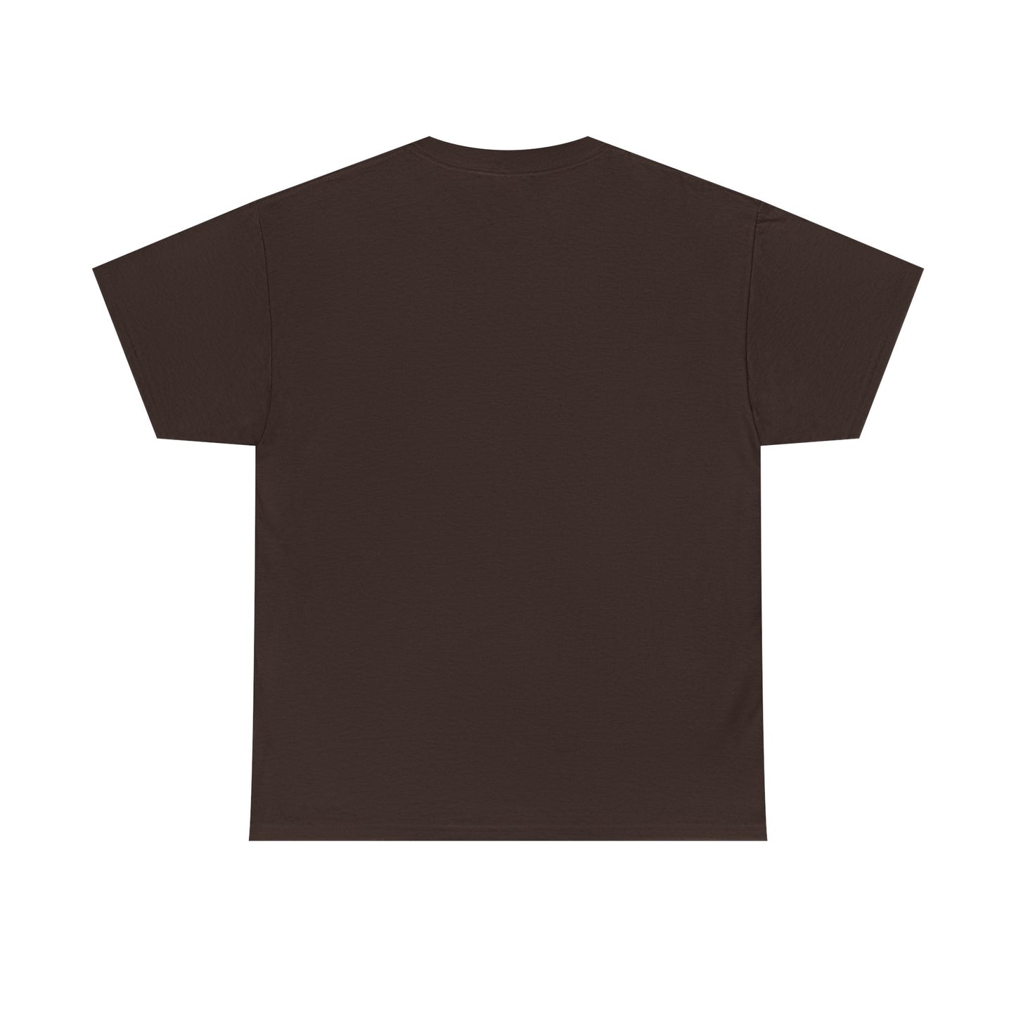 Aquarius Water Bearer tee | Zodiac astrology shirt, The Aquarius tarot design