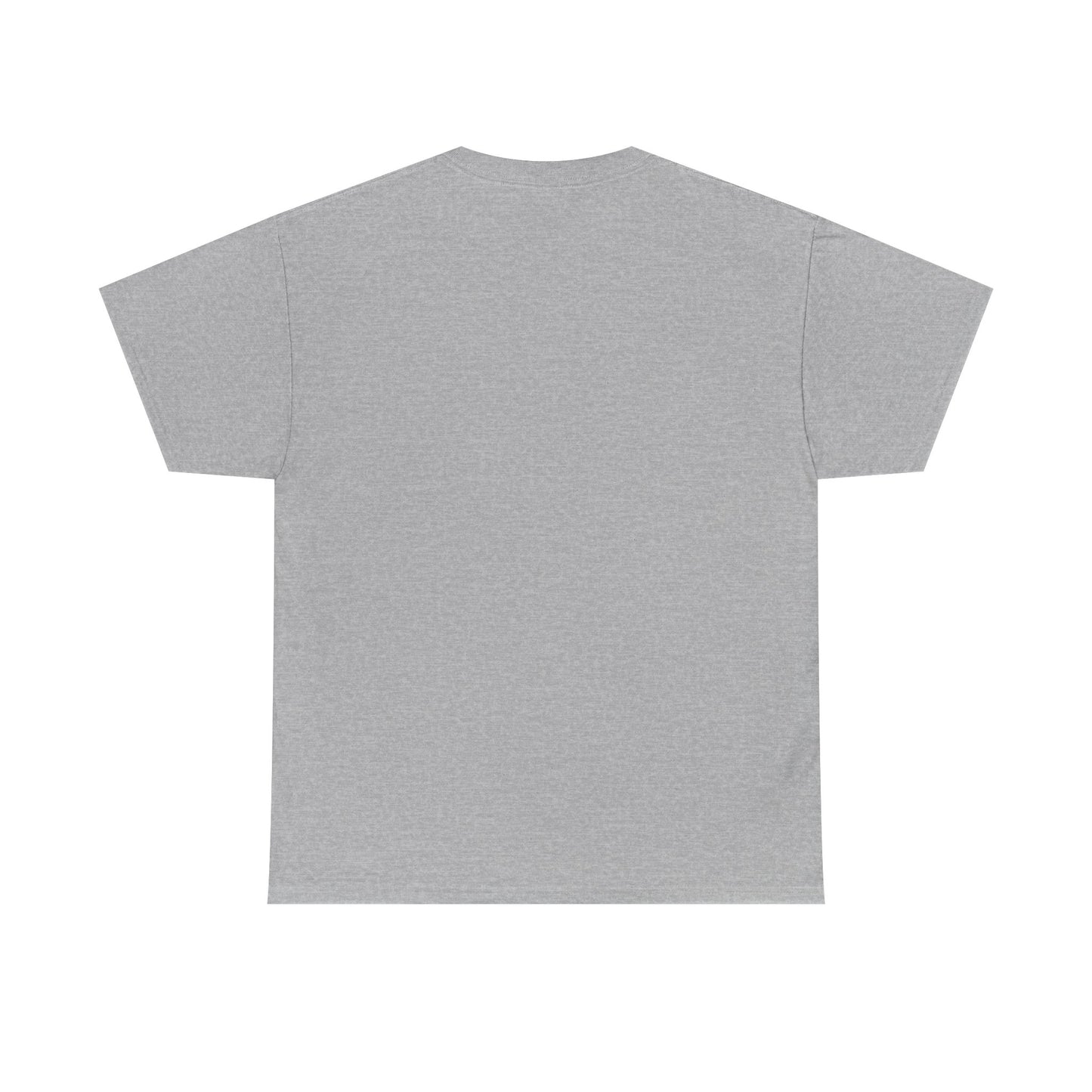 Aquarius Water Bearer tee | Zodiac astrology shirt, The Aquarius tarot design