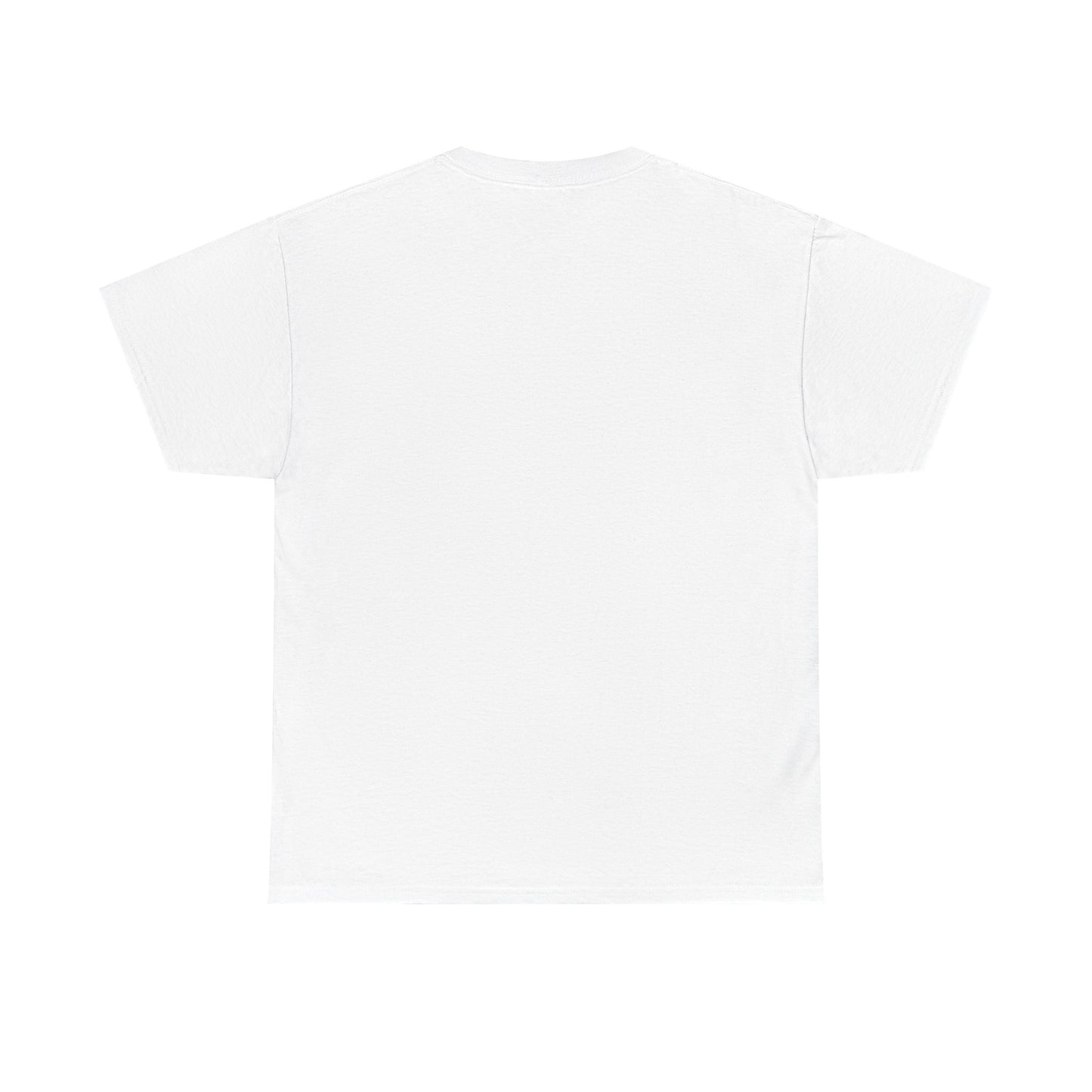 Aquarius Water Bearer tee | Zodiac astrology shirt, The Aquarius tarot design
