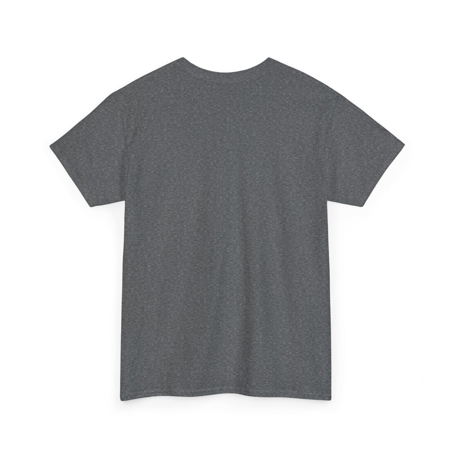 Aquarius Water Bearer tee | Zodiac astrology shirt, The Aquarius tarot design