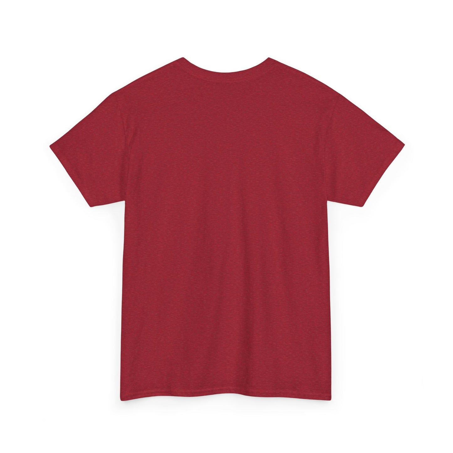 Aquarius Water Bearer tee | Zodiac astrology shirt, The Aquarius tarot design